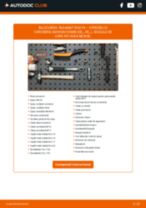 PDF manual pentru întreținere C5 caroserie inchisa/combi (DE_, RE_) 2.0 HDi