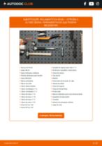 Manual de substituição para C-ELYSÉE 2015 gratuito em PDF