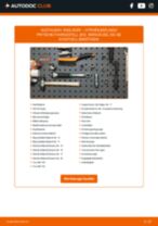 Bedienungsanleitung für BERLINGO Pritsche/Fahrgestell (B9) 1.6 HDi 90 16V online