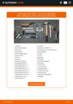 SEAT TERRA Box (024A) Differenzdrucksensor: Schrittweises Handbuch im PDF-Format zum Wechsel