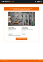 Manuale online su come cambiare Kit cinghia servizi Citroen C2 Enterprise