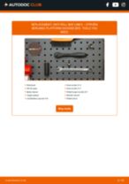 Citroen Berlingo Platform 1.6 HDi 92 manual pdf free download