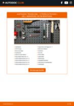 Citroen C Crosser Kraftstoffdrucksensor: Schrittweises Handbuch im PDF-Format zum Wechsel