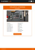 Savienotājstienis: profesionāla rokasgrāmata tā nomaiņai tavam Citroen Berlingo Platforma 1.6 HDi 90