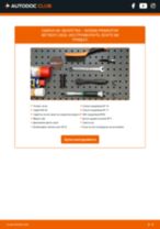 Самостоятелна смяна на задна и предна Биалетка на NISSAN - онлайн ръководства pdf