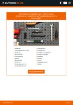 Koplamp matrix LED veranderen DACIA Duster Geländewagen geschlossen: instructie pdf