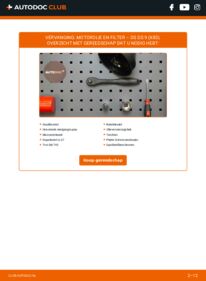 Vervanging uitvoeren: Oliefilter 1.6 PureTech 225 (X25GGR) DS DS 9 (X83)