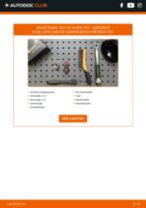 Hvordan skifter man Kilerem FORD Falcon Pritsche / Fahrgestell (AU) - manual online