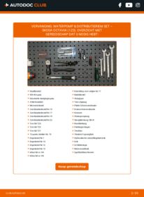 Vervangen: Waterpomp + Distributieriem Set 1.9 TDI Skoda Octavia 1z3