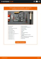 PDF manual sobre manutenção de A2