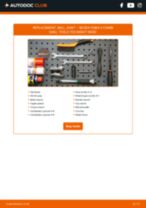 Fabia II Combi (545) 1.9 TDI manual pdf free download