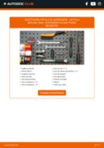 PDF manual sobre mantenimiento Polo Berlina (9N4) 1.6
