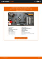 Manual online sobre a substituição de Amortecedor porta malas em NISSAN CABSTAR Pritsche/Fahrgestell (F23, H41, H42)