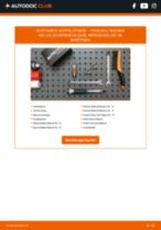 Reparatur- und Servicehandbuch für VAUXHALL Insignia Mk1 (A) Schrägheck (G09) 2013