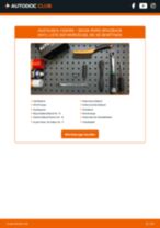Werkstatthandbuch SKODA RAPID (120G, 130G, 135G) online