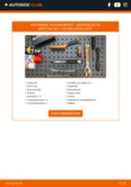 Stap-voor-stap PDF-handleidingen over het veranderen van DACIA 1309 Pritsche / Fahrgestell Zuigerveren