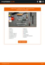 DIY-manual for utskifting av Traversforing i SAAB 9-5 2012