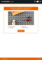 Den professionelle guide til udskiftning af Tændrør på din CITROËN DS5 2.0 HDi 165