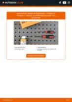 Cambio Unidad de bobina de encendido CITROËN bricolaje - manual pdf en línea