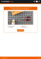 autoreservedele DS DS 9 (X83) | PDF Guide til reparation