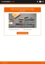 Manual online sobre a substituição de Sensor gases de escape em Citroen C3 II