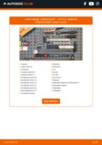 JAPKO MJ00371 eest DS 3 | PDF asendamise õpetused