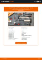 Reemplazar Amortiguador DS DS 3: pdf gratis