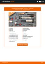 Gebührenfreies Austauschhandbuch für den DS3 2015 im PDF-Format