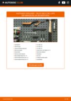 Werkstatthandbuch für S60 II (134) T3 online