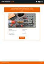 Online manual on changing Alternator voltage regulator yourself on Terra