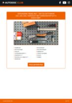 Stap-voor-stap PDF-handleidingen over het veranderen van VW Bora 1j2 Gloeilamp Knipperlamp