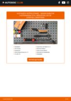 Werkstatthandbuch für Kubistar Kastenwagen (X76) 1.5 dCi 70 online