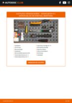 Volvo Amazon P121 Getriebeöl und Verteilergetriebeöl: PDF-Anleitung zur Erneuerung