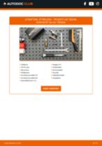 Montering Vannpumpe + Registerreimsett PEUGEOT 407 (6D_) - steg-for-steg manualer