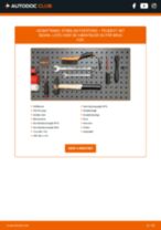 Skift Generator starter PEUGEOT 407: pdf gratis