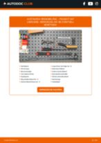 PEUGEOT 104 Kompressor, Druckluftanlage tauschen: Handbuch pdf