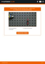 SEAT TERRA Box (024A) Kit Cinghie Poly-V sostituzione: tutorial PDF passo-passo