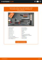 Manual online sobre el cambio de Copela por su cuenta en FORD Focus Mk2 Kasten / Kombi