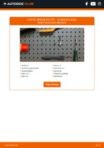 DIY-manual för byte av Bränslefilter i ALPINA B10