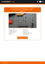 Alpina F32 Bilanciere sostituzione: tutorial PDF passo-passo