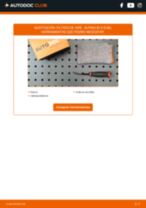 Cambio Faro Principal LED ALPINA B9: guía pdf