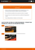 Tutorial paso a paso en PDF sobre el cambio de Escobillas de Limpiaparabrisas en PEUGEOT 806 Kastenwagen (AF)