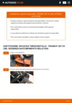 Come cambiare Spazzole tergicristallo posteriore e anteriore PEUGEOT 307 CC (3B) - manuale online