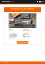 Útmutató PDF Alhambra (710, 711) 2.0 TDi 4Drive (DLUB) karbantartásáról