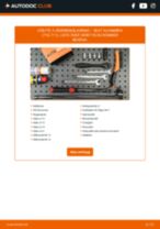 Manuell PDF för Alhambra (710, 711) 2.0 TDi 4Drive (DLUB) underhåll