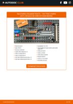 PDF manual pentru întreținere T-Roc Cabrio (AC7) 1.5 TSI