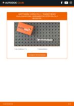 Manual de taller para BOXER Caja/Chasis (244) 2.0 BiFuel en línea