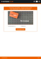 Werkstatthandbuch für BOXER Kasten (244) 2.8 HDi 4x4 online