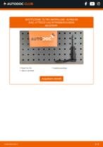 Сome cambiare Filtro Antipolline carbone attivo e antibatterico ALPINA B3 (E46): manuale online