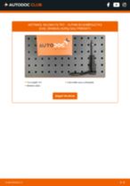 ALPINA B3 Oro filtras, keleivio vieta keitimas: nemokamas pdf